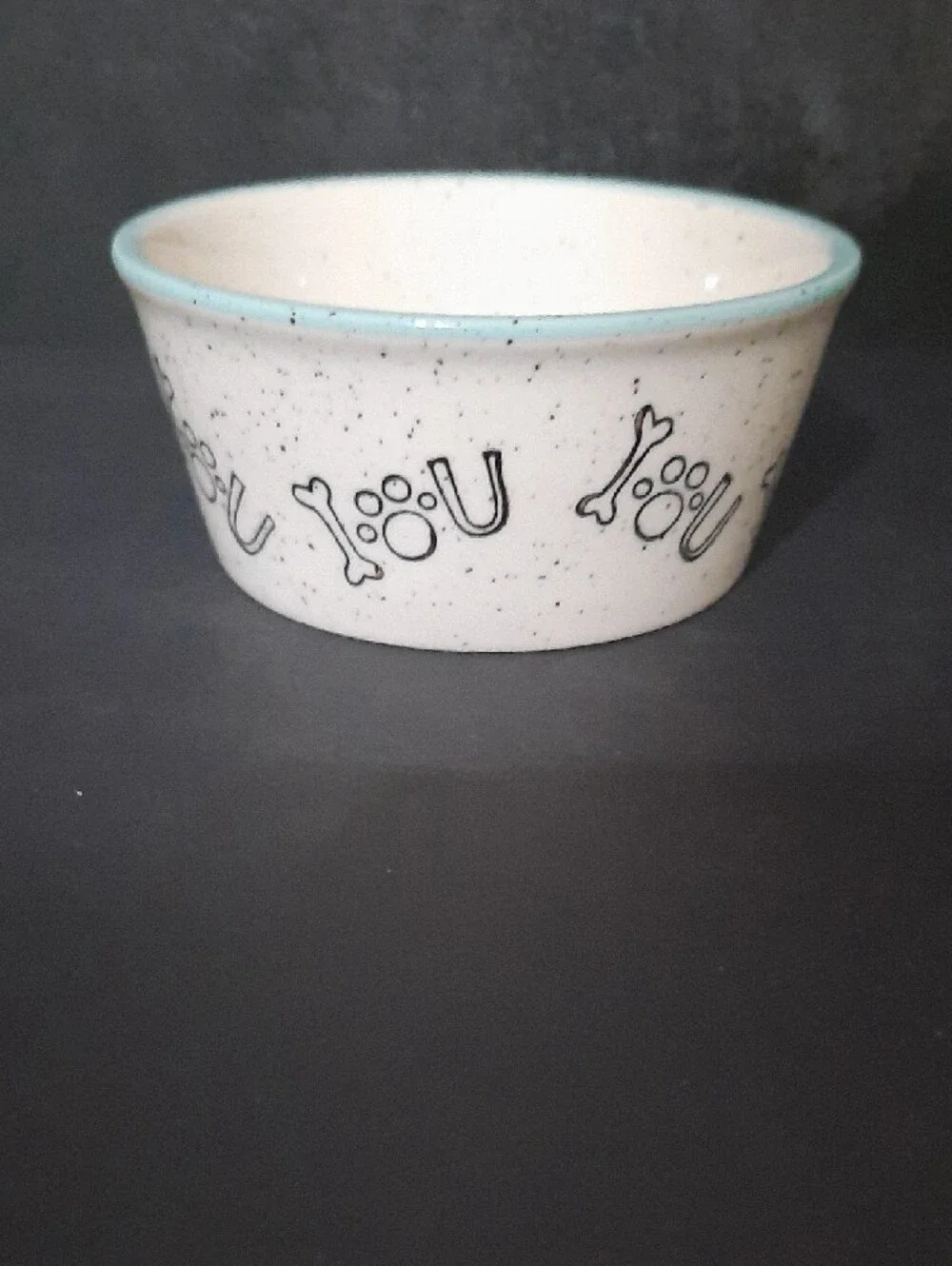 Pacifica White Speckled Ceramic Pet Bowl with Light Blue Rim